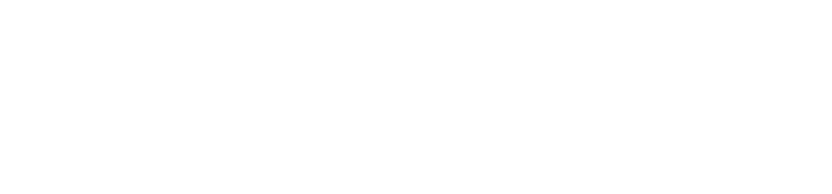 Podorozhnyk